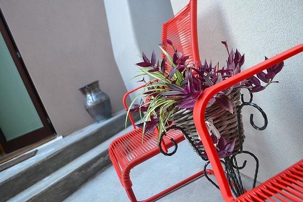 La Salvia E Il Lampone Bed & Breakfast Pove del Grappa Eksteriør bilde