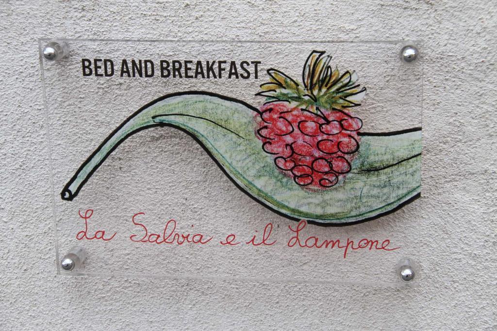 La Salvia E Il Lampone Bed & Breakfast Pove del Grappa Eksteriør bilde